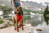 Ruffwear Front Range™ Everyday Dog Collar (Aurora Teal)