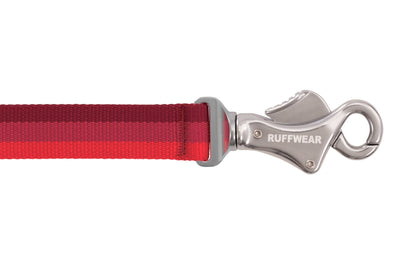 Ruffwear Roamer™ Multi-Use Bungee Dog Leash (Blue Atoll)