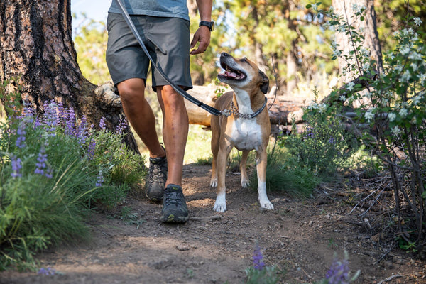 Ruffwear Chain Reaction Reflective Martingale Dog Collar