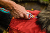 Ruffwear Flat Out™ Patterned & Multi-Use Dog Leash (Spring Burst)