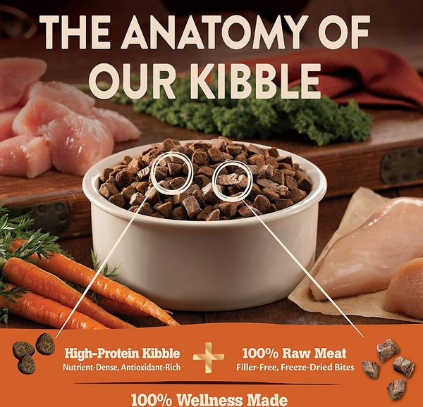 Wellness core raw dog food outlet