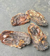 Wholesome Paws Kaki Oysters Dog Treats