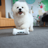Wickedbone Smart Automatic Interactive Dog Toy - Dog Play