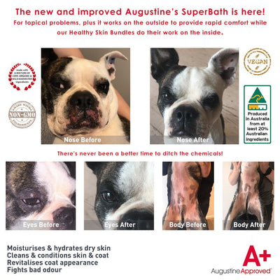 Augustine Approved SuperBath Skin Care for Dogs (Skin & Odour) - Good Dog People™
