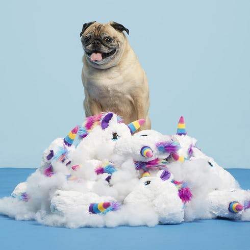 Bark Pete The Frankly Fantastic Unicorn Dog Plush Toy Good Dog