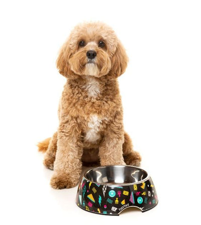 FuzzYard Bel Air Dog Feeding Bowl