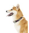 FuzzYard Bel Air Dog Collar