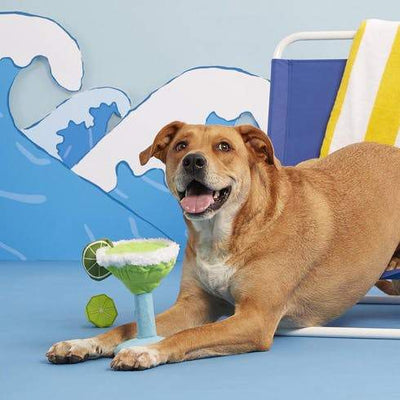 $18 ONLY: BarkShop Muy Squeaky Margarita Dog Plush Toy