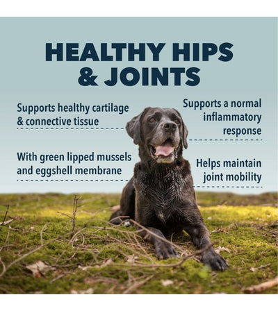 Four Leaf Rover Hip & Joint Natural Joint Support Dog Supplements - Good Dog People™