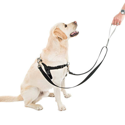 Freedom No-Pull Harness & Leash (Black/Silver) For Dogs
