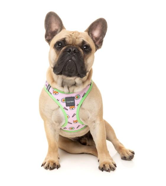 Dinosaur Dog Harness Fuzzyard Dog Collars FuzzYard SuShiba