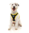 FuzzYard Bel Air Step-in Dog Harness