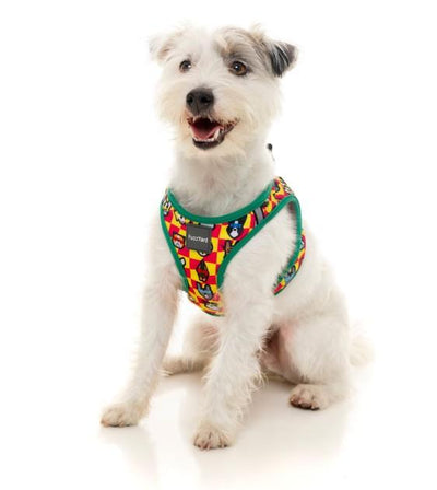 FuzzYard Doggoforce Step-in Dog Harness