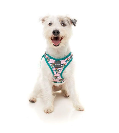 FuzzYard LL Cool Jaw$ Step-in Dog Harness