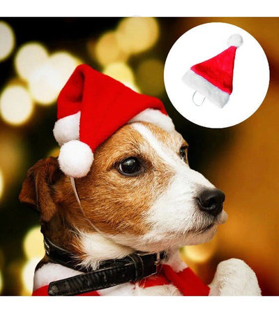 GIFT WITH PURCHASE >$99: Good Dog People Christmas Santa Claus Hat For Dogs - Good Dog People™