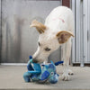 KONG Dragon Knots Dog Toy - Good Dog People™