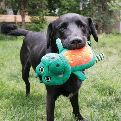 KONG Whoopz Gator Dog Toy - Good Dog People™