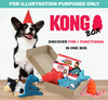 30% OFF: Kong Puppy Teethers Box