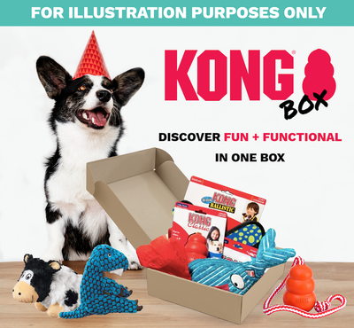 30% OFF: Kong x BARE Surprise Box