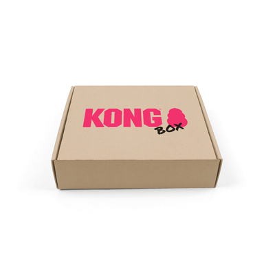 30% OFF: Kong Summer Fun Box