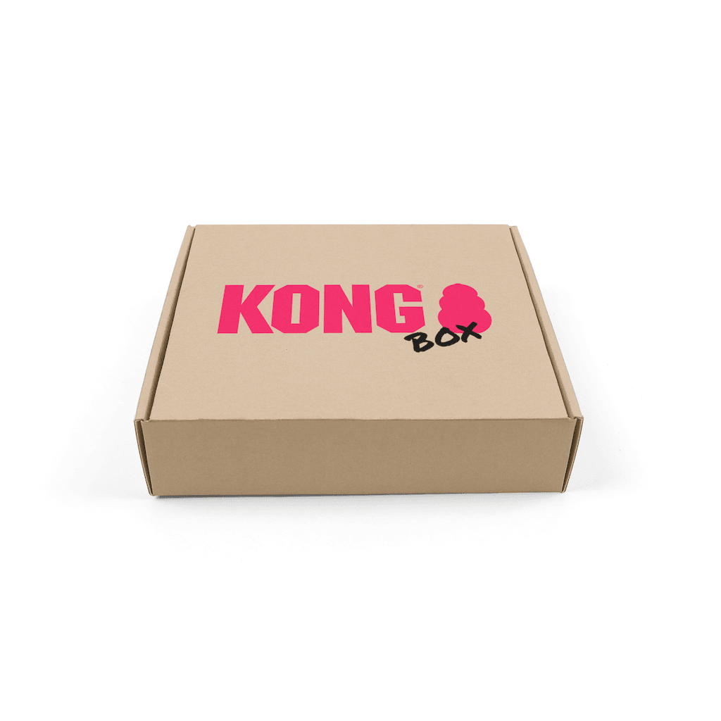 Kong toy discount box