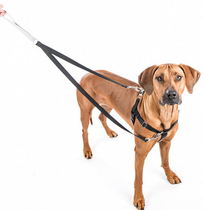 Freedom No-Pull Harness & Leash (Red/Black) For Dogs