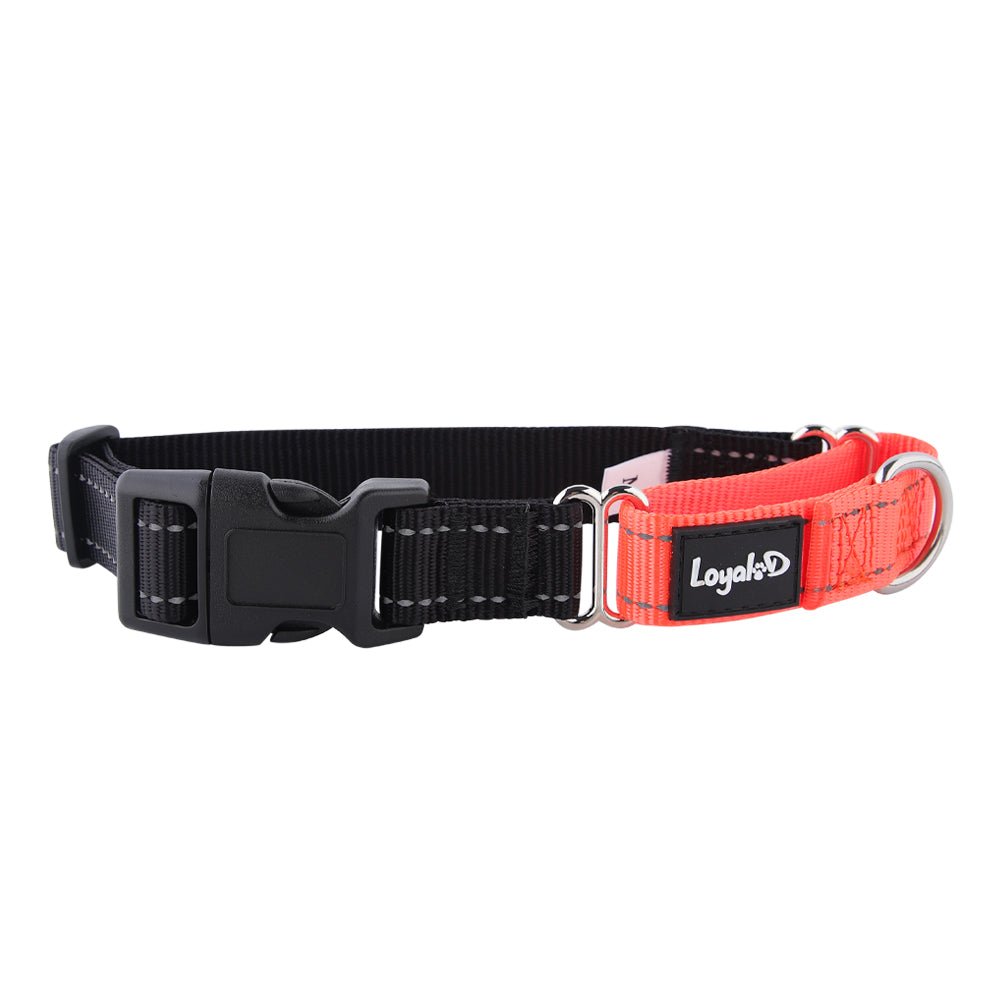 Loyal.D Buckle Martingale Reflective Dog Collar > Good Dog People™