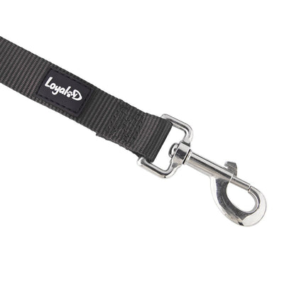 Loyal.D Fix.D Comfort Black Dog Leash (Neoprene Handle) - Good Dog People™