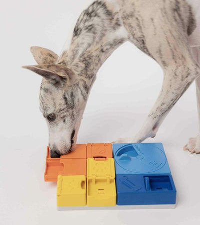 Pawzler Innovative Modular Dog Puzzles (Rainbow Set With Base) - Good Dog People™