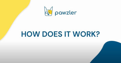 Pawzler Innovative Modular Dog Puzzles (Terra Lickmat Without Base) - Good Dog People™