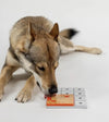 Pawzler Innovative Modular Dog Puzzles (Terra Lickmat Without Base) - Good Dog People™