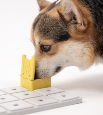 Pawzler Innovative Modular Dog Puzzles (Zoey Without Base) - Good Dog People™