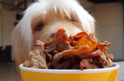 The Barkery Bark Kwa Dehydrated Pork Dog Treats - Dog