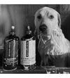 Pride + Groom The Final Coat All-Natural Dog Conditioner for Dogs - Good Dog People™