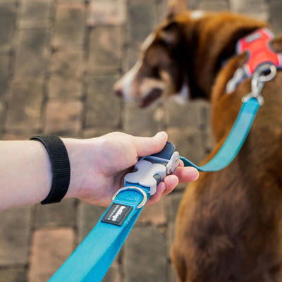 Red Dingo Hands-Free All-In-One SuperLead for Dogs (Red) - Good Dog People™