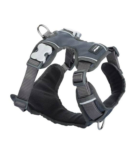 Red Dingo Padded Dog Harness (Charcoal)