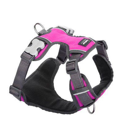Red Dingo Padded Dog Harness Hot Pink