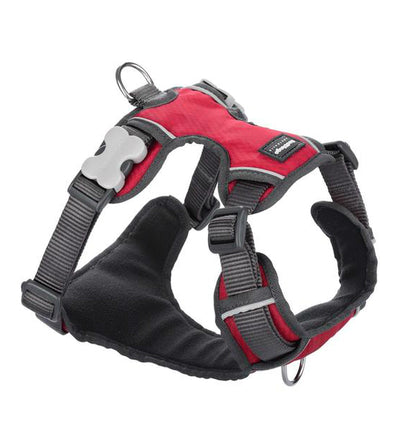 Red Dingo Padded Dog Harness Red