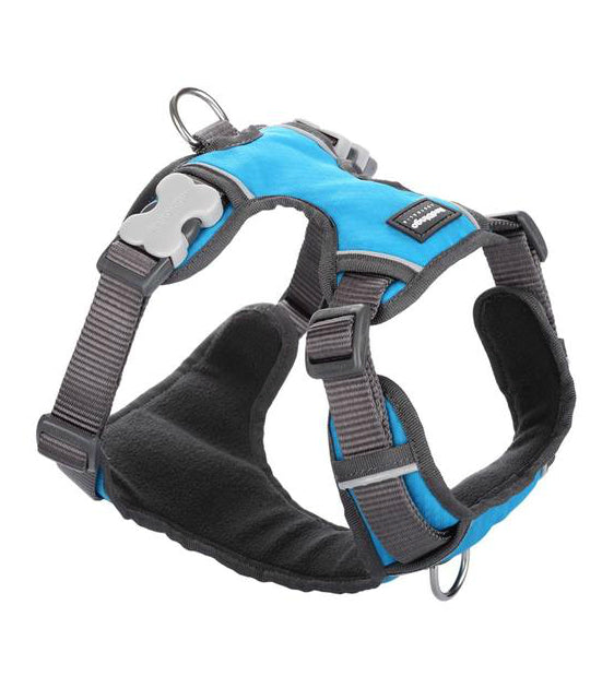 Red Dingo Padded Dog Harness Turquoise
