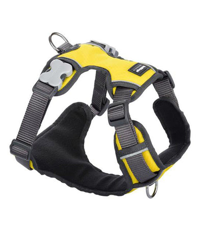 Red Dingo Padded Dog Harness Yellow