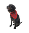 Insect Shield Paisley Bandana for Dogs