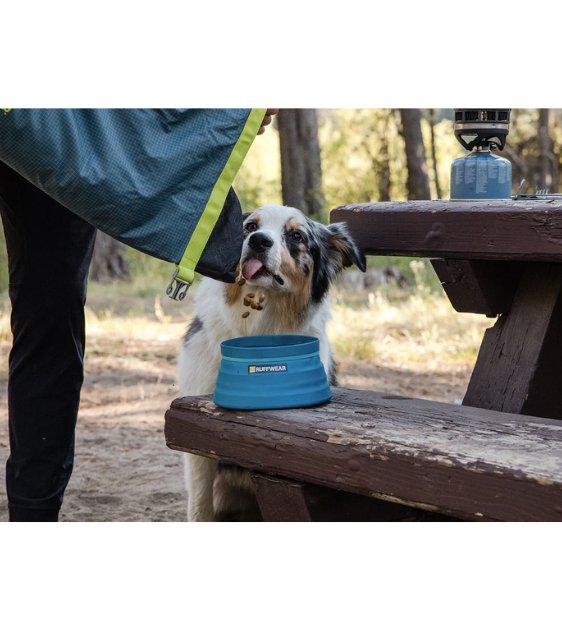 Bivy™ Collapsible Dog Bowl