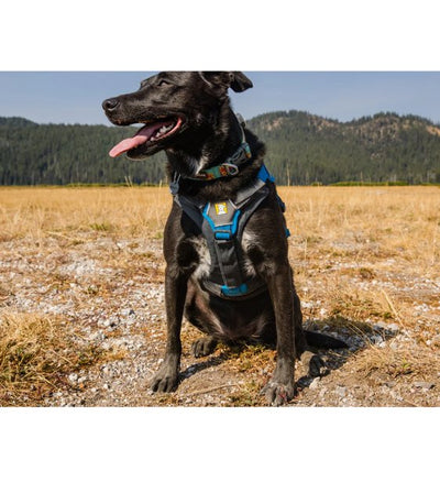 Ruffwear Brush Guard™ Harness Add-On For Dogs (Chest Protection & Lifting Support) - Good Dog People™
