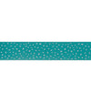 Ruffwear Confluence™ Reflective Waterproof Dog Collar (Aurora Teal) - Good Dog People™