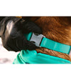 Ruffwear Confluence™ Reflective Waterproof Dog Collar (Aurora Teal) - Good Dog People™