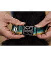 Ruffwear Crag™ Reflective Dog Collar (Alpine Dusk) - Good Dog People™