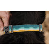 Ruffwear Crag™ Reflective Dog Collar (Canyon Oxbow) - Good Dog People™