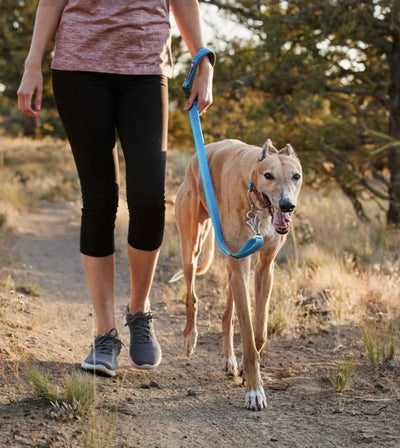 Ruffwear Crag™ Reflective & Multi-Use Dog Leash (Alpine Dusk) - Good Dog People™