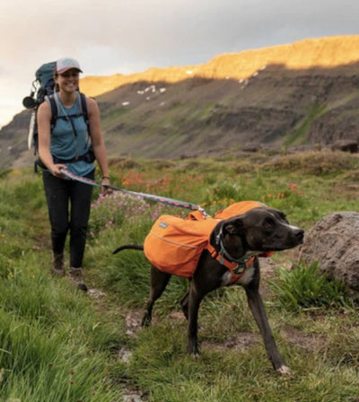 Ruffwear Crag™ Reflective & Multi-Use Dog Leash (Canyon Oxbow) - Good Dog People™