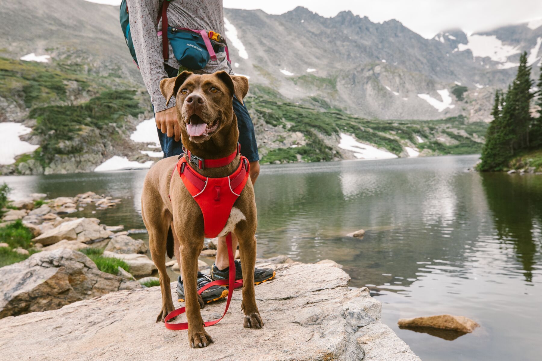 Ruffwear Front Range Ombr Dog Collar Red Clay Good Dog People